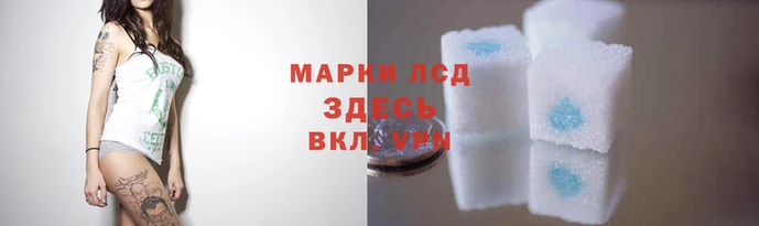 мдпв Верея