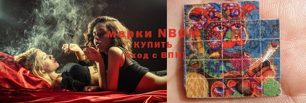 мдпв Верея