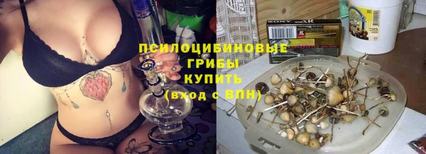 мдпв Верея