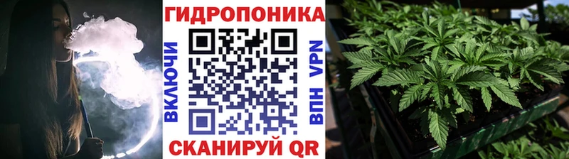 это какой сайт  даркнет сайт  Минусинск  Бошки марихуана Amnesia  мега онион 